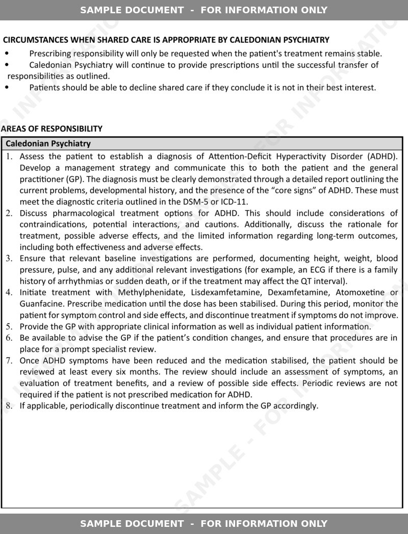 Sample shared care application, page 4: circumstances and areas of responsibility
